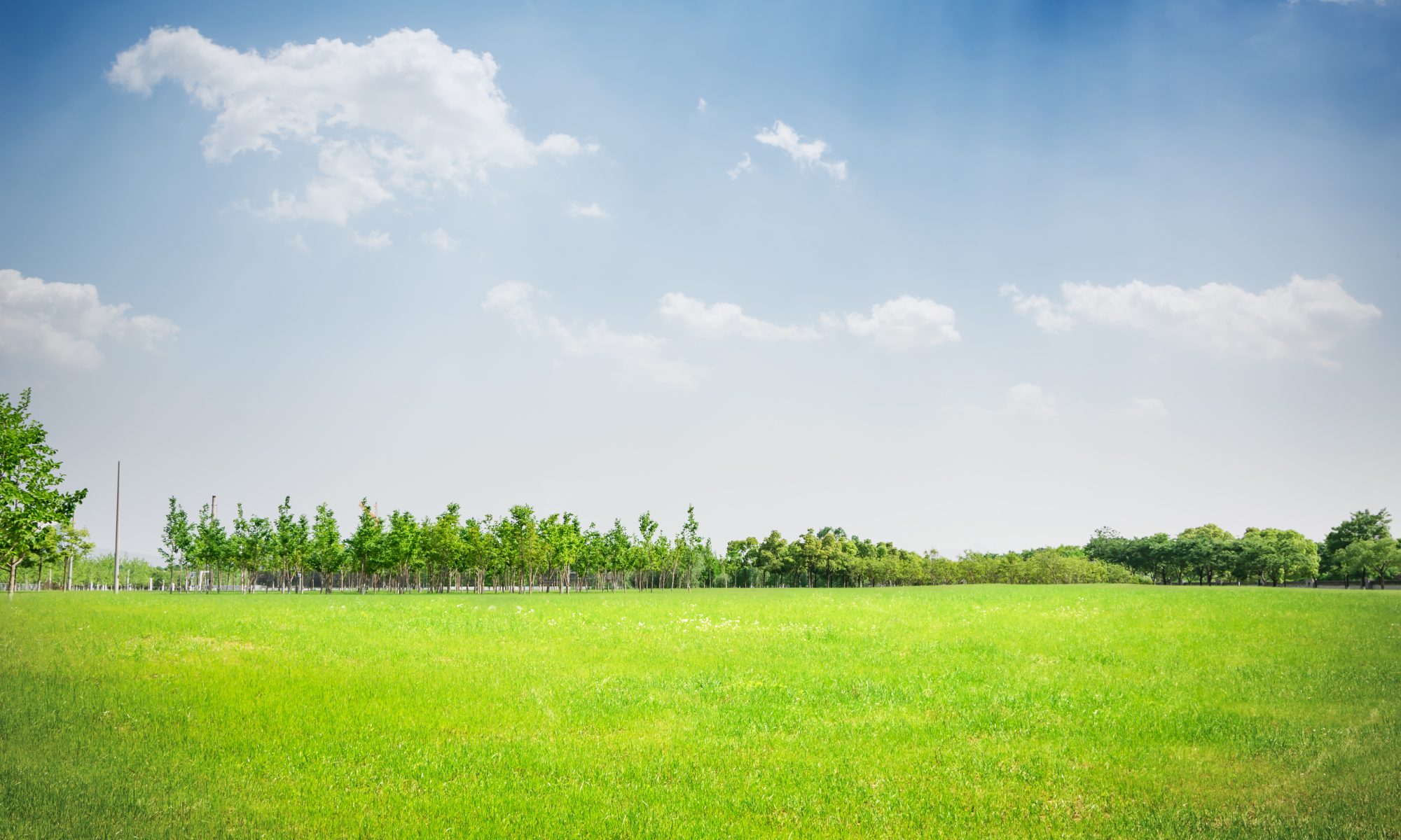 land parcel near mumbai