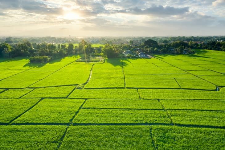 Dvok Buy Land in Gurugram